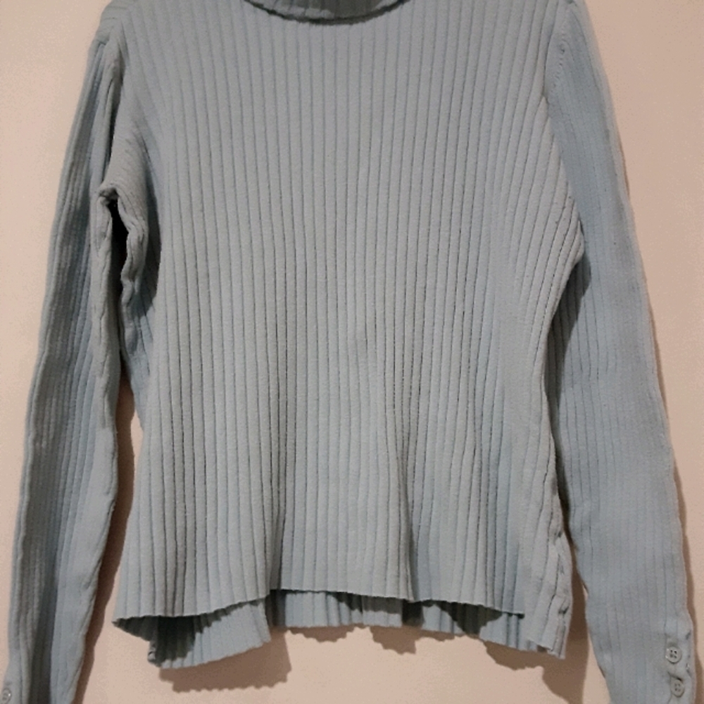 Baby blue turtleneck